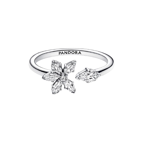 Anillo abierto Herbario Brillante