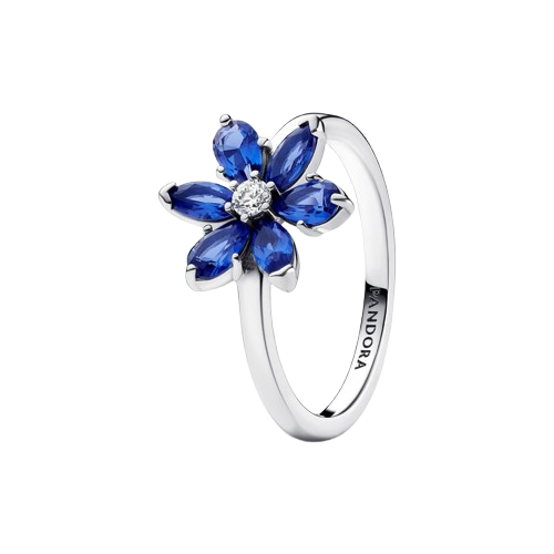 Anillo Herbario Brillante Azul