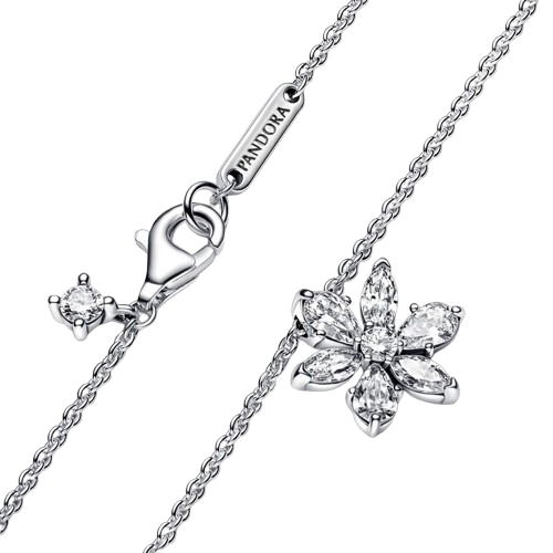 Collar Herbario Brillante