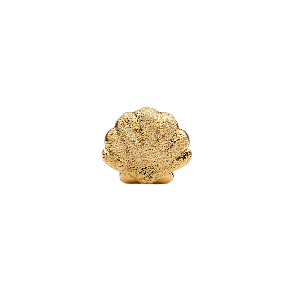 Charm Pandora Mini Charm Concha Con Textura - Vista principal