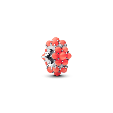 Charm Pandora Charm Océano de Color Coral - Vista principal