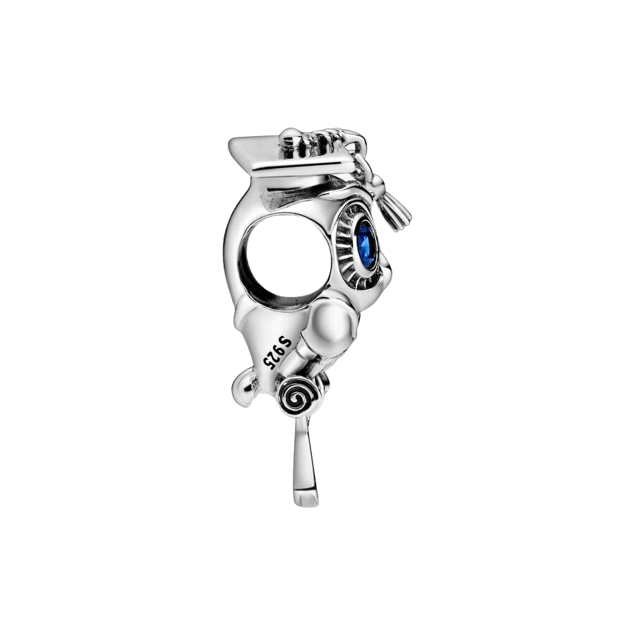 Charm Búho Sabio Graduación