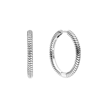 Pendientes de Aro Pandora Moments para Charm