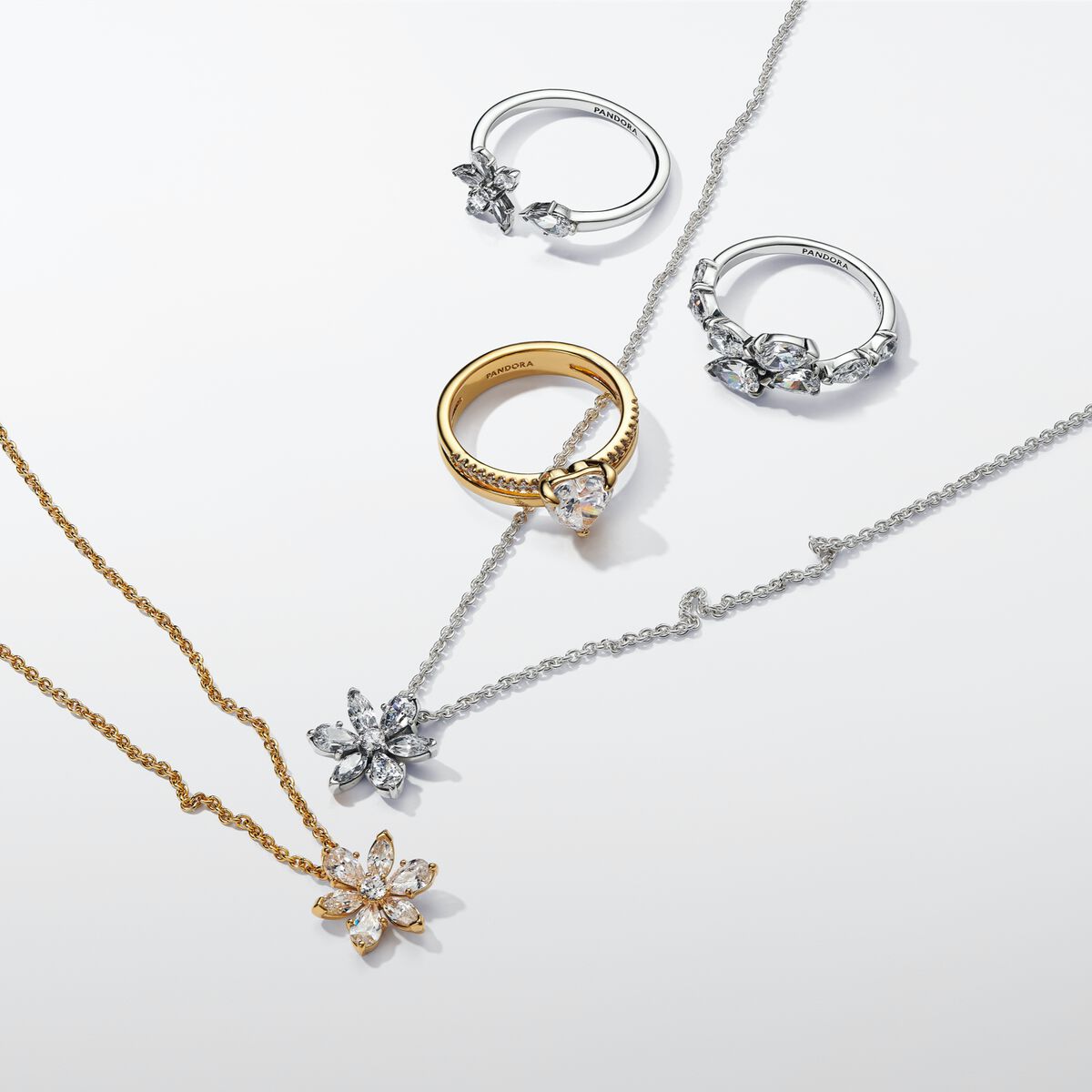 Anillo abierto Herbario Brillante