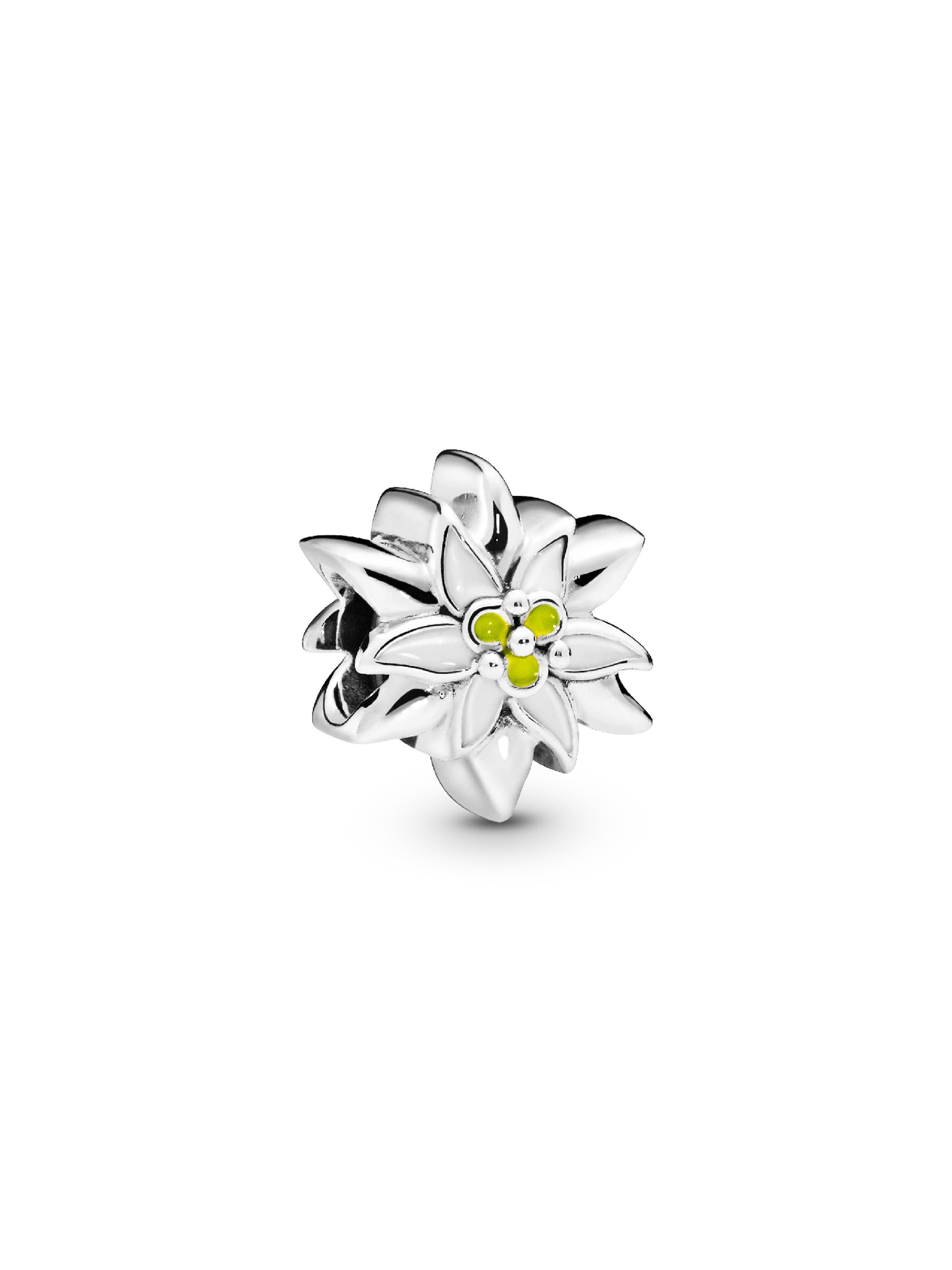 Charm Flor Edelweiss