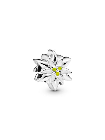 Charm Flor Edelweiss