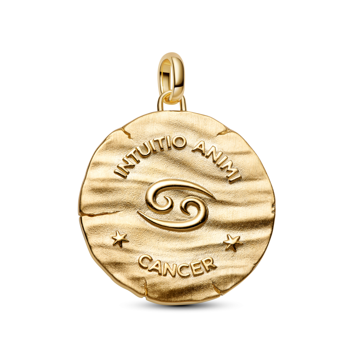 Charm Medallón Grande Zodiaco Cáncer - vista 2