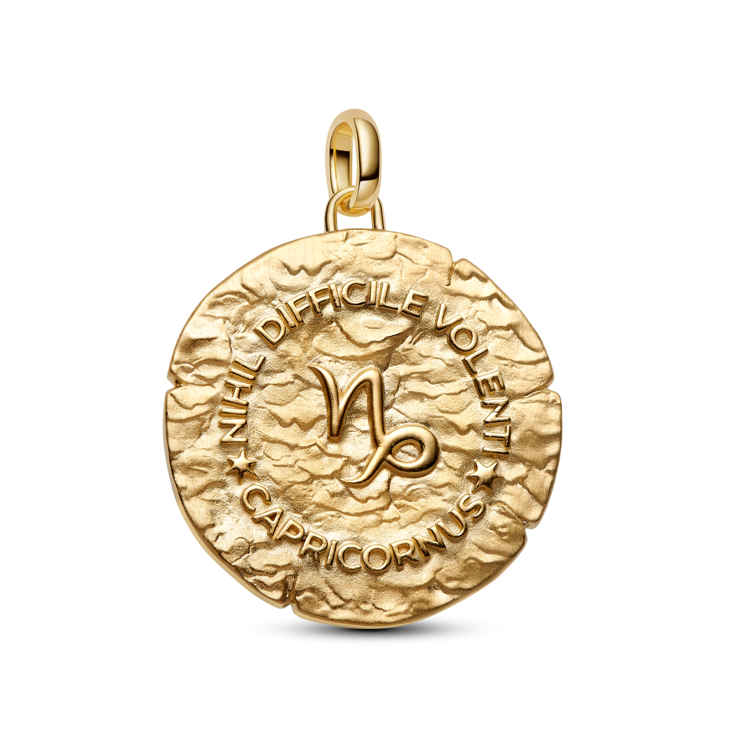Charm Medallón XL Zodiaco Capricornio - vista 2