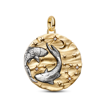 Charm Medallón XL Zodiaco Piscis - vista 1