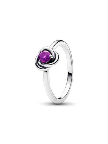 Anillo Círculo Eternity Morado de Febrero - vista 1