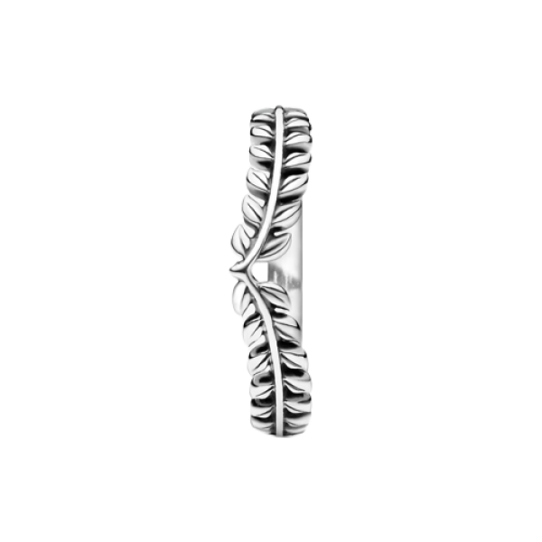 Anillo en plata de ley Deseo Animado