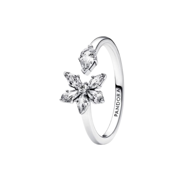 Anillo abierto Herbario Brillante
