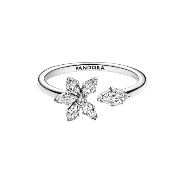 Anillo abierto Herbario Brillante
