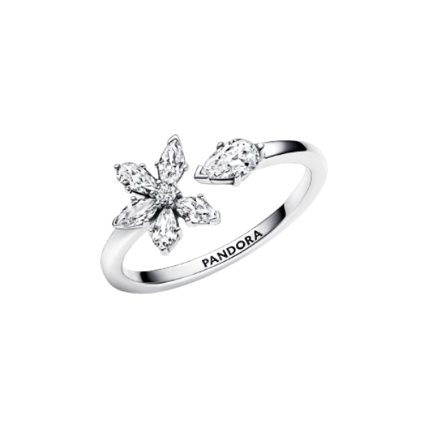 Anillo abierto Herbario Brillante
