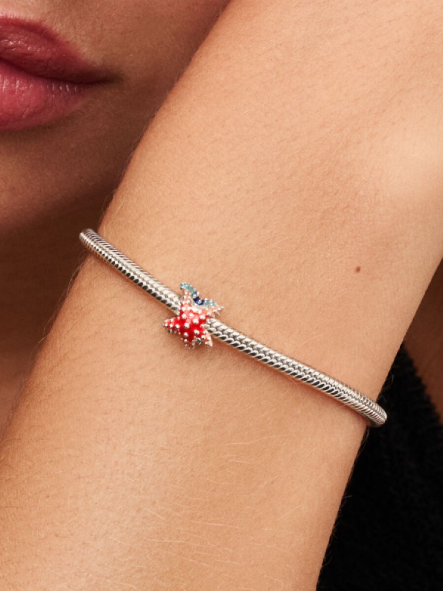 Charm MIni Estrella de Mar Colorida Plata de primera ley