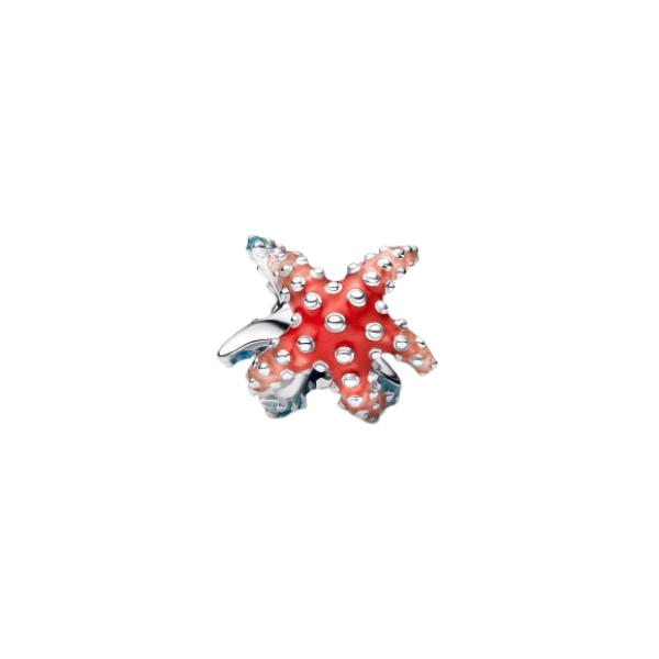 Charm MIni Estrella de Mar Colorida Plata de primera ley