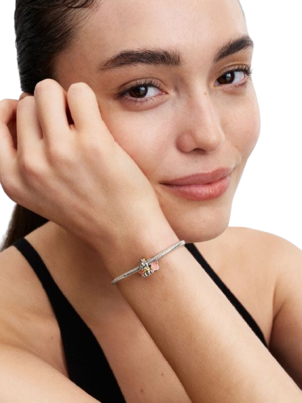 Charm Dumbo de Disney